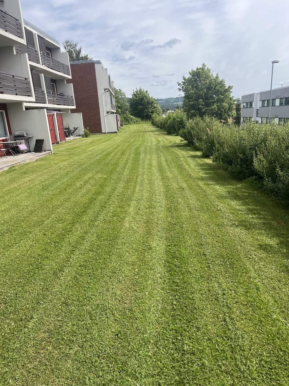 Jobb utført av Naboservice